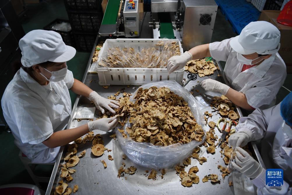 大圣互娱官网
